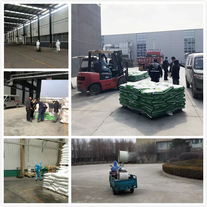 1583198666742113.jpg 6.jpg