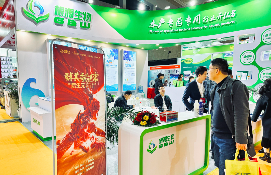 1678775223420000.png 2.png