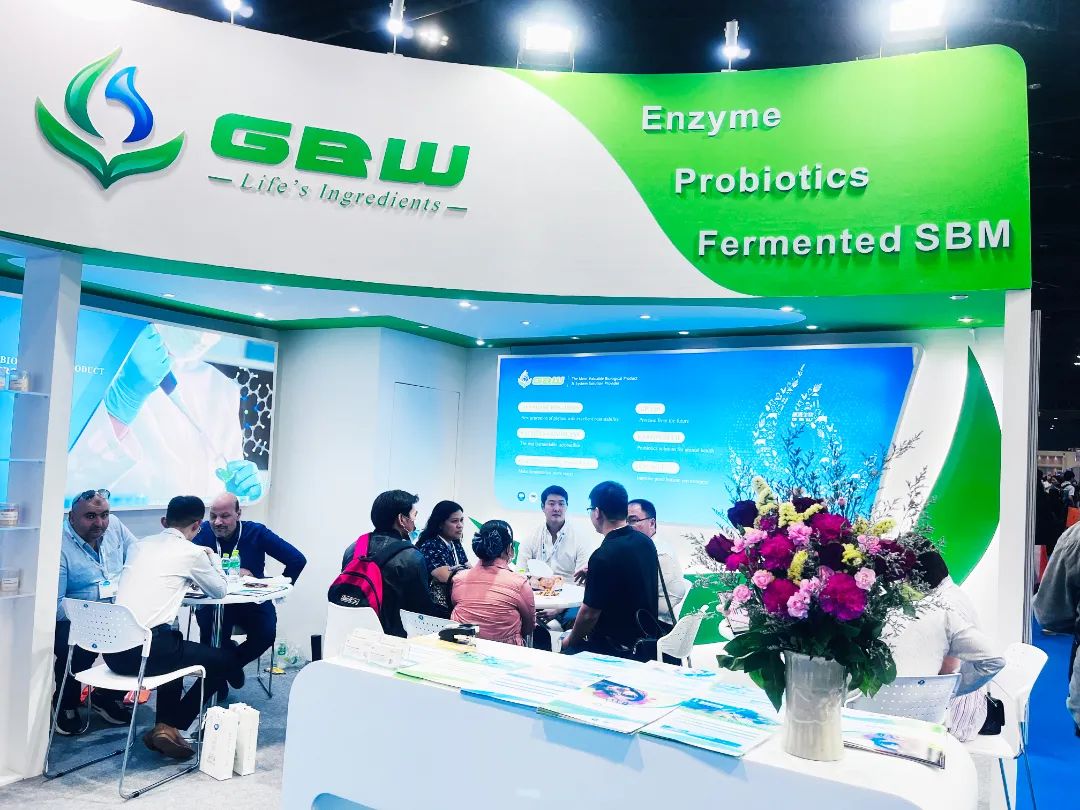 1678776013626701.jpg 11.jpg