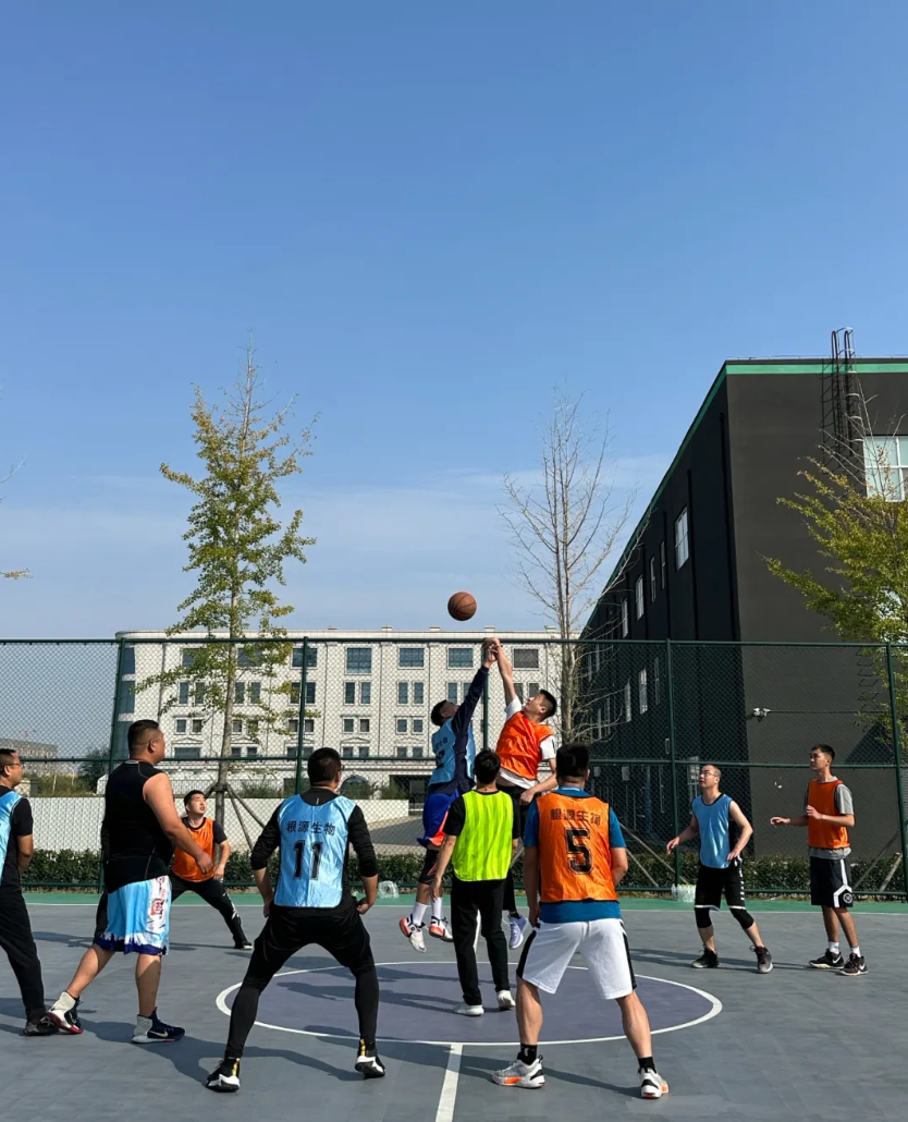 1735634705537093.jpg 5.jpg